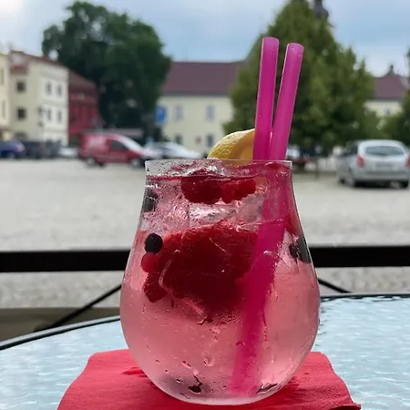 Hotel Maxim Frydek-Mistek