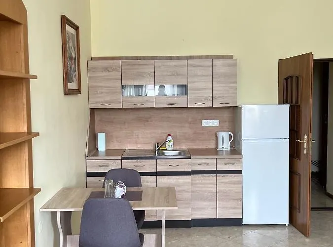 Maxim 4* Frýdek-Místek
